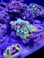 IMG_1521.jpeg