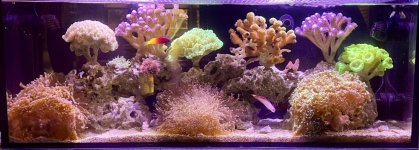 IMG_3762.jpeg