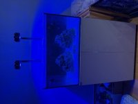 IMG_4613.jpeg
