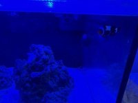 IMG_4616.jpeg