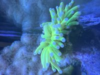 IMG_3334.jpeg