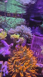 4cbe6286-361e-4426-b24c-b5bc7d73eeee.jpeg