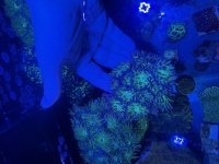 IMG_0226.jpeg