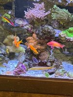 IMG_4138.jpeg