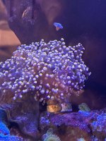 IMG_4121.jpeg