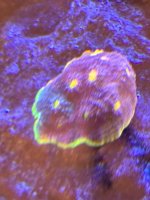 IMG_4116.jpeg