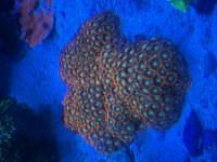 IMG_1099.jpeg