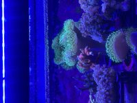 IMG_1098.jpeg