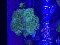 IMG_1097.jpeg