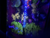 IMG_1092.jpeg