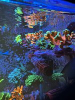 IMG_4083.jpeg