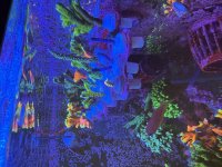 IMG_4576.jpeg