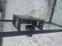 IMG_7395.jpeg