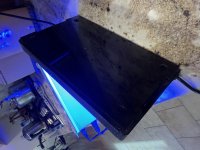 IMG_3198.jpeg