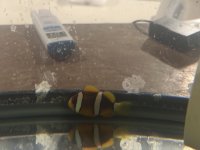 IMG_7001.jpeg