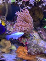 IMG_4104.jpeg