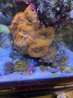 IMG_4103.jpeg
