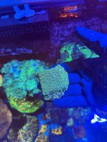 IMG_0598.jpeg