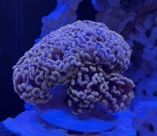 IMG_4893.jpeg