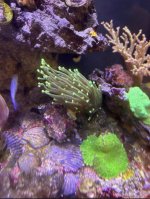 IMG_4572.jpeg