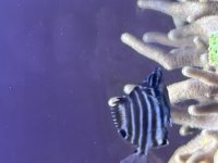 IMG_1145.jpeg