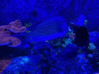 IMG_7751.jpeg