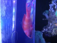 IMG_20260228_172302.jpg