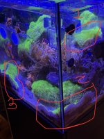 IMG_0677.jpeg