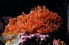 DSC_0001.jpg