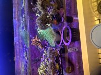 IMG_1232.jpeg
