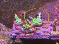 IMG_7254.jpeg