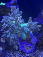 IMG_7649.jpeg