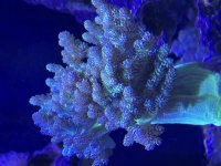 IMG_7650.jpeg