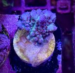 IMG_5788.jpeg