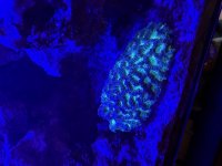 IMG_0702.jpeg