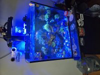 1000020891.jpg