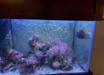 IMG_8217.jpeg