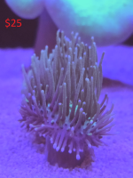 20260327_142751.png
