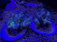 IMG_7695.jpeg