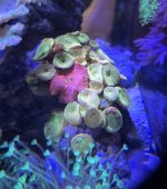 20260326_191134.jpg