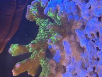 IMG_9587.jpeg