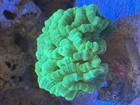 IMG_9585.jpeg