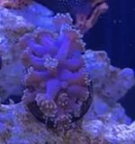 IMG_5283.jpeg