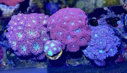 IMG_81233.jpeg