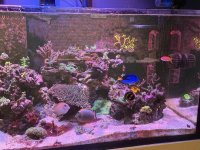 IMG_7262.jpeg