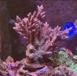 IMG_0439.jpeg