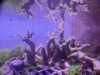 IMG_4513.jpeg
