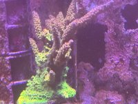 IMG_7388.jpeg