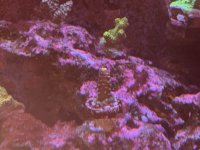 IMG_7389.jpeg