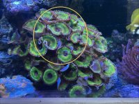 IMG_0292.jpeg